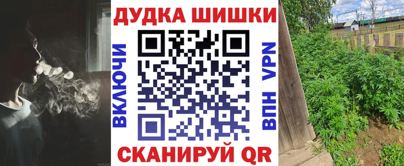 Бошки марихуана сатива Петровск-Забайкальский